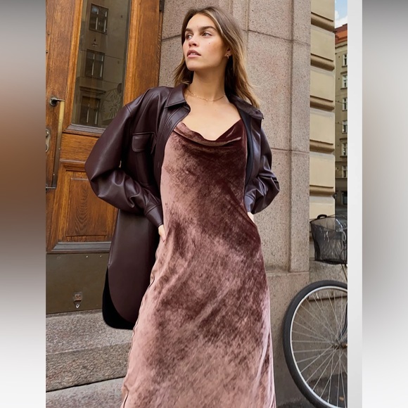 ARITZIA Wilfred Spritz Velvet Dress - Picture 8 of 8